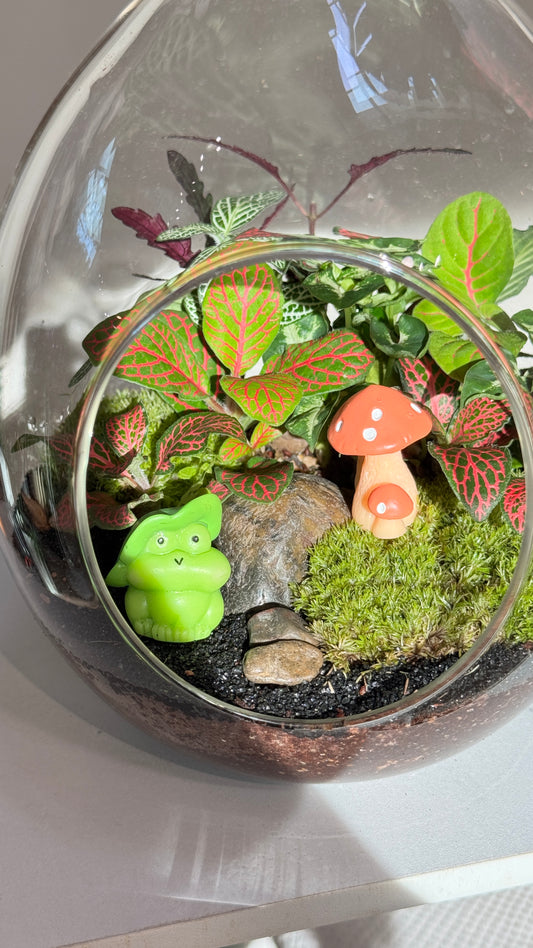 Fittonia & Fern Arrangement with Moss in Eggette Glass Terrarium (L)