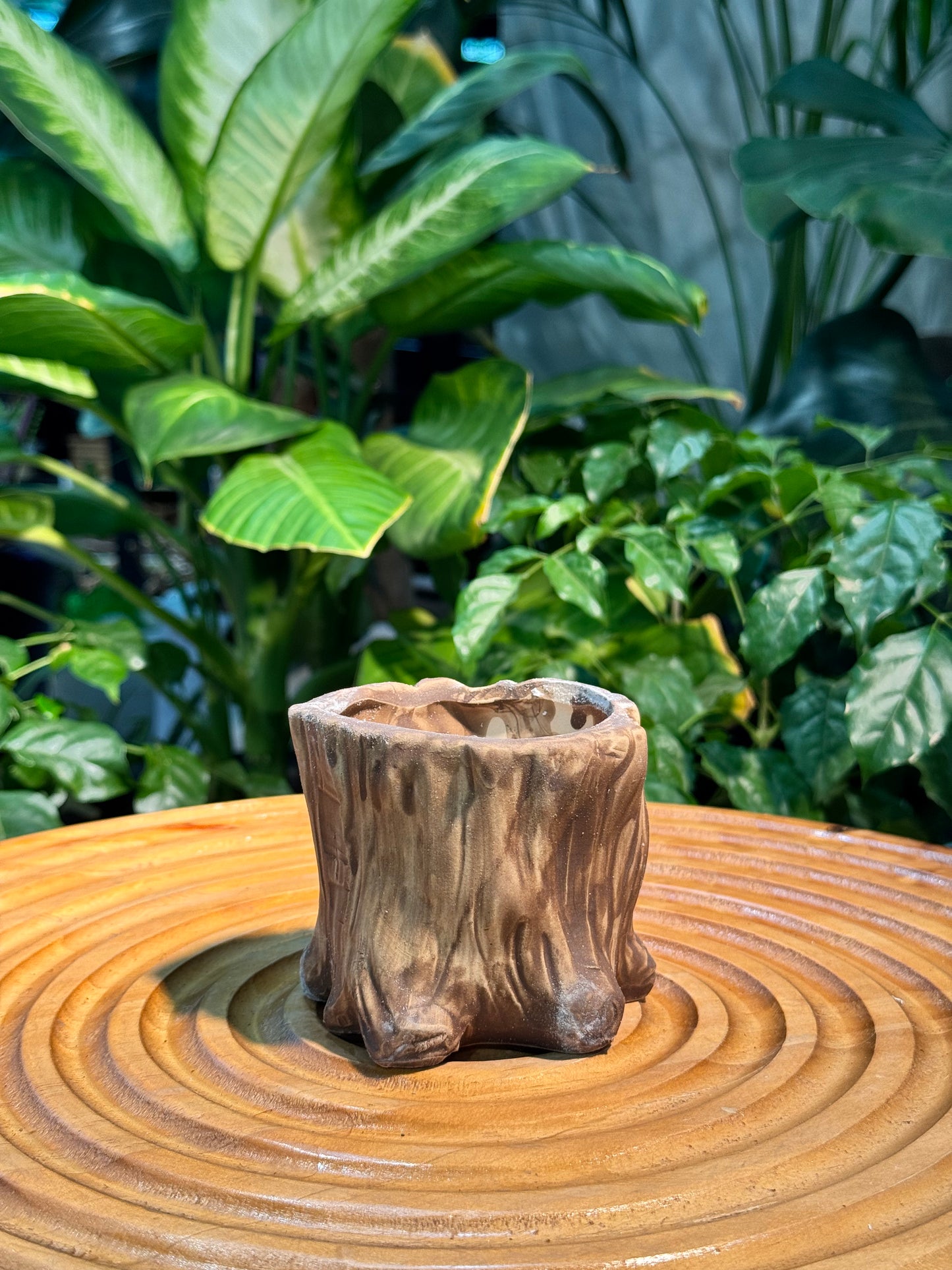 Wooden-like Ceramic Pot