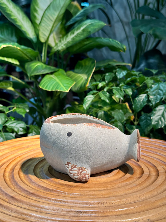 Whale Matte Ceramic Pot