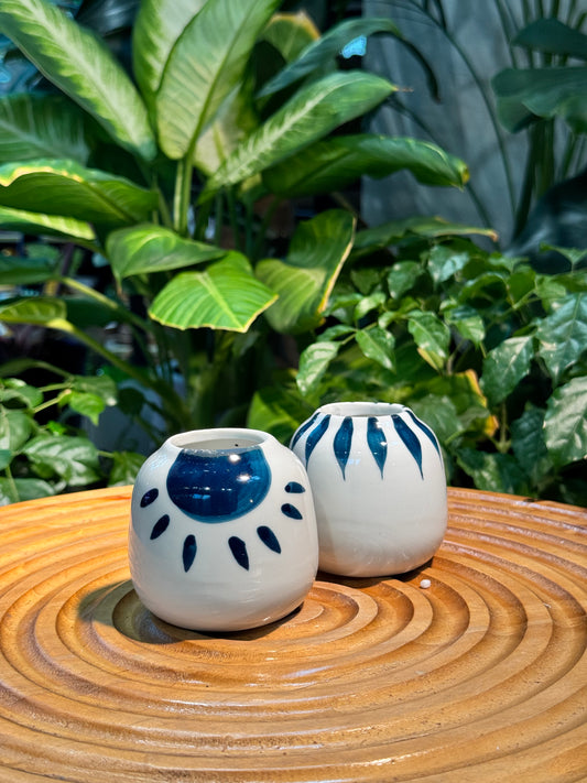White Pot with Blue Designed Ceramic Pot