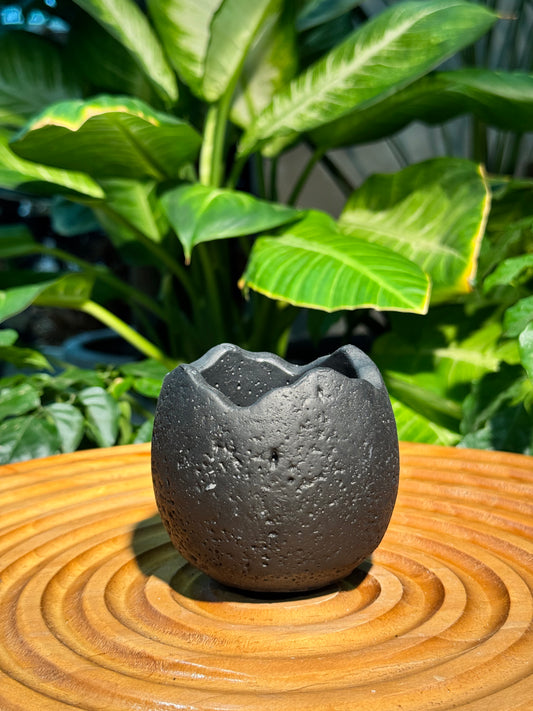 Eggshell Zen Black Pot