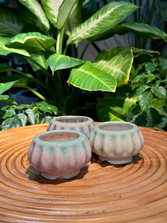 Pumpkin Base Ceramic Pot