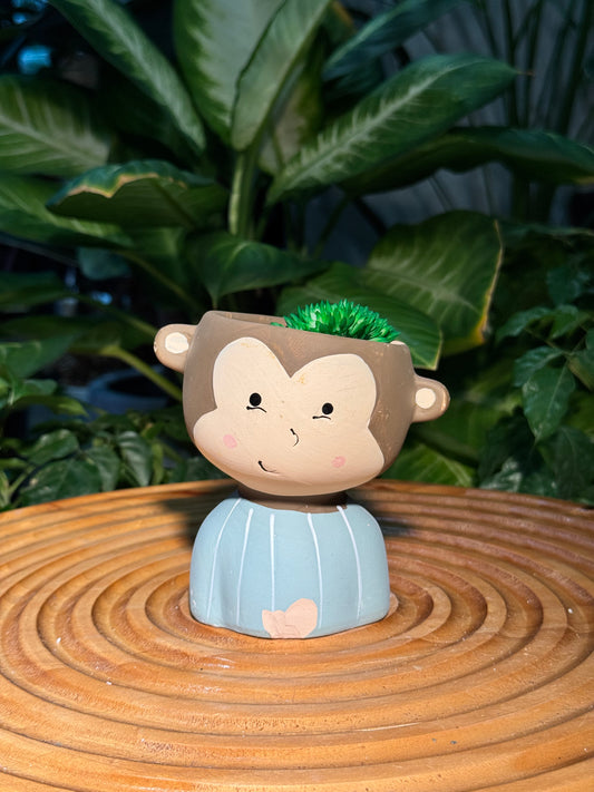 Monkey with Blue Shirt Matte Pot