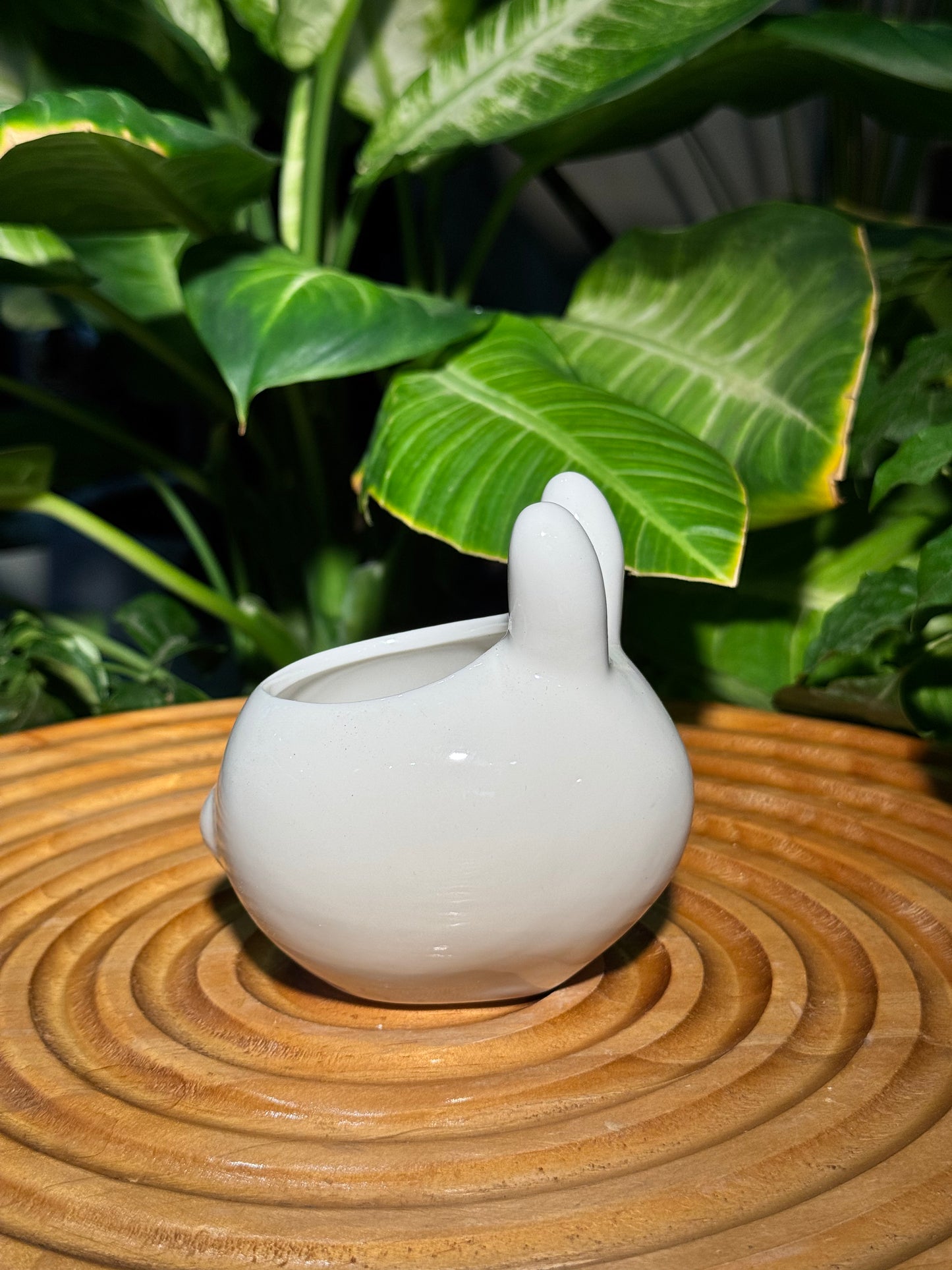 White Rabbit Pot