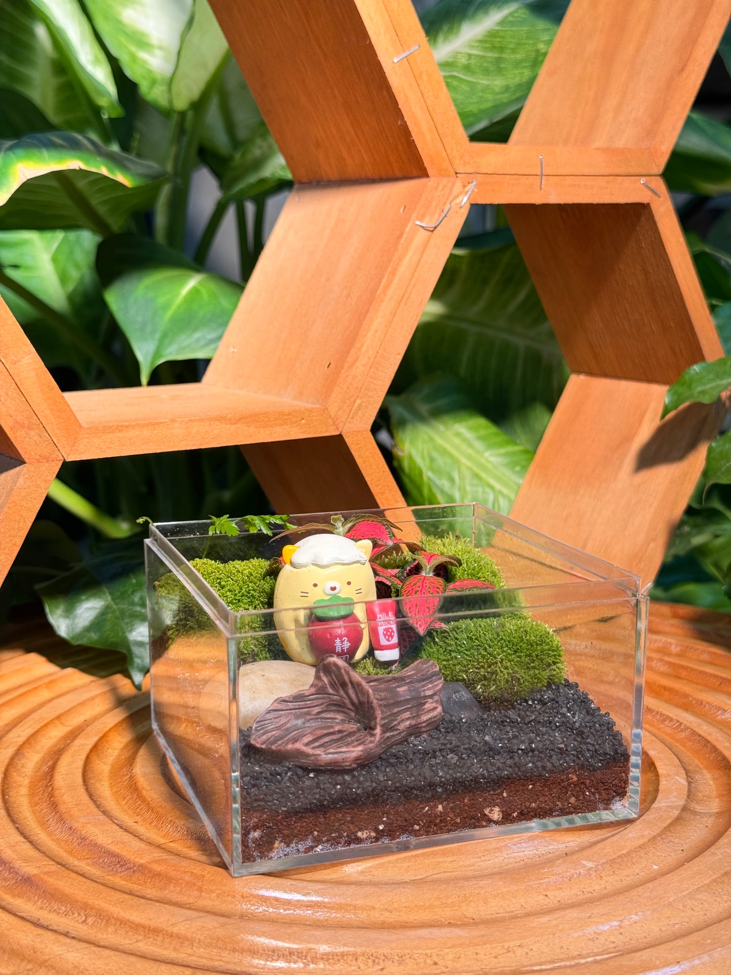 "A Very Good Luck To You!" Enclosed Terrarium