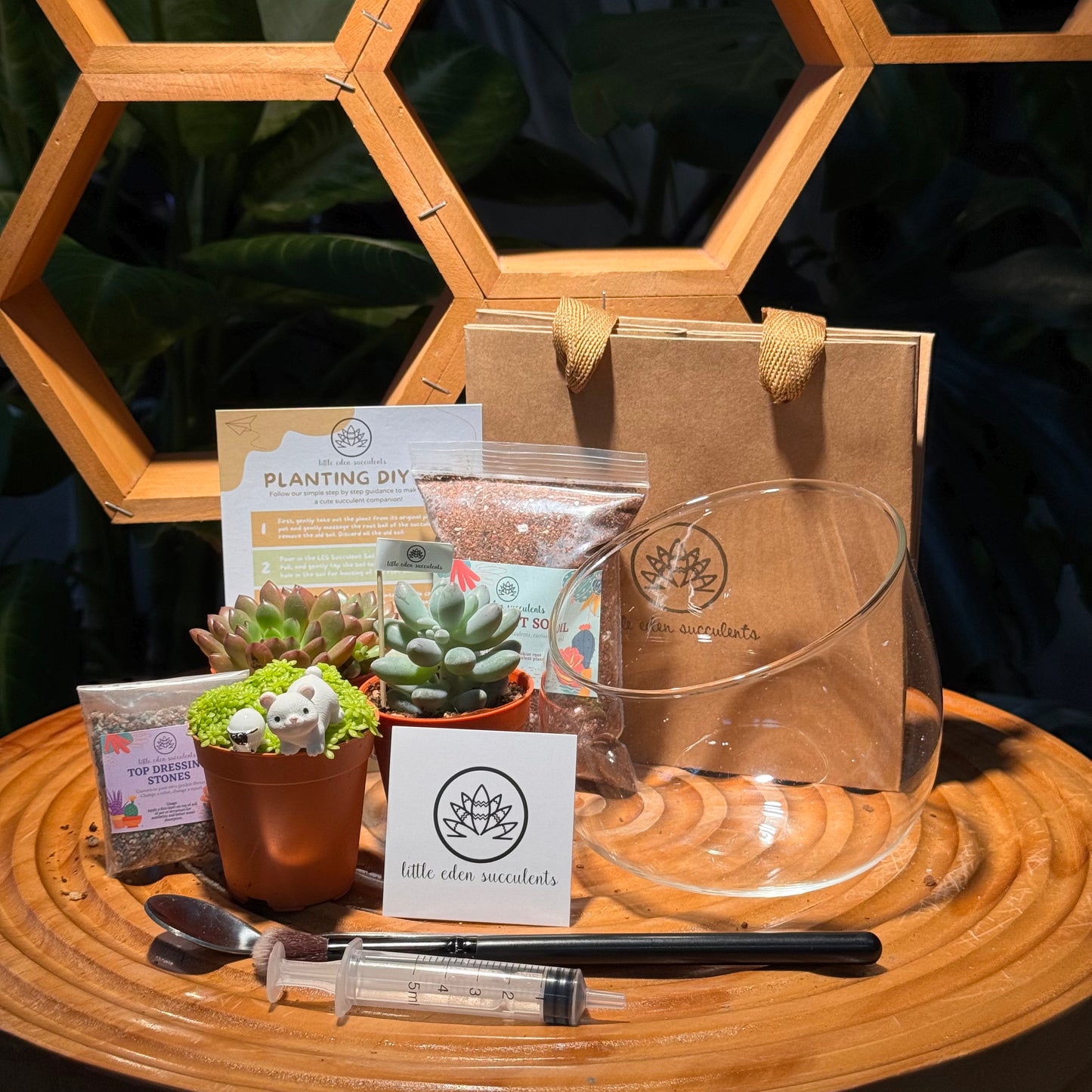 Slanted Glass Succulent Terrarium (M) DIY Kit