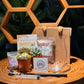 Tall Glass Succulent Terrarium (M) DIY Kit