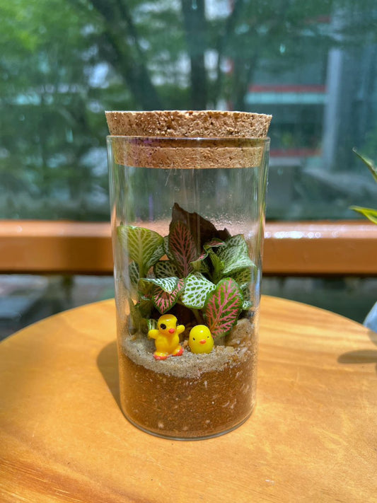 Closed Indoor Terrarium Workshop