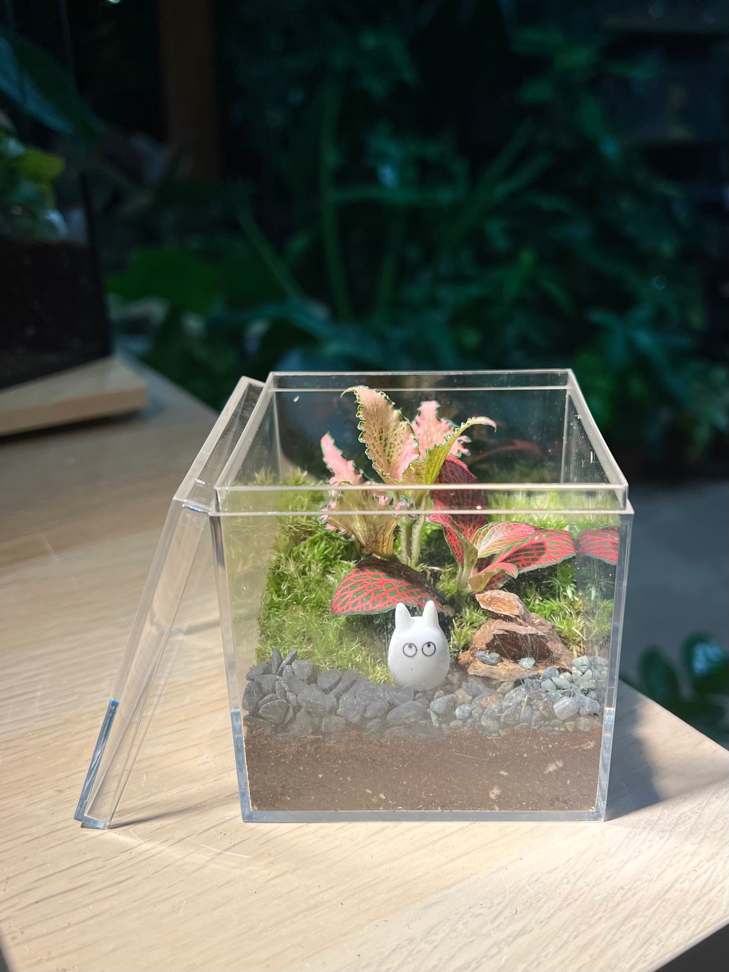 Small moss terrarium with a miniature cat figurine on a wooden surface
