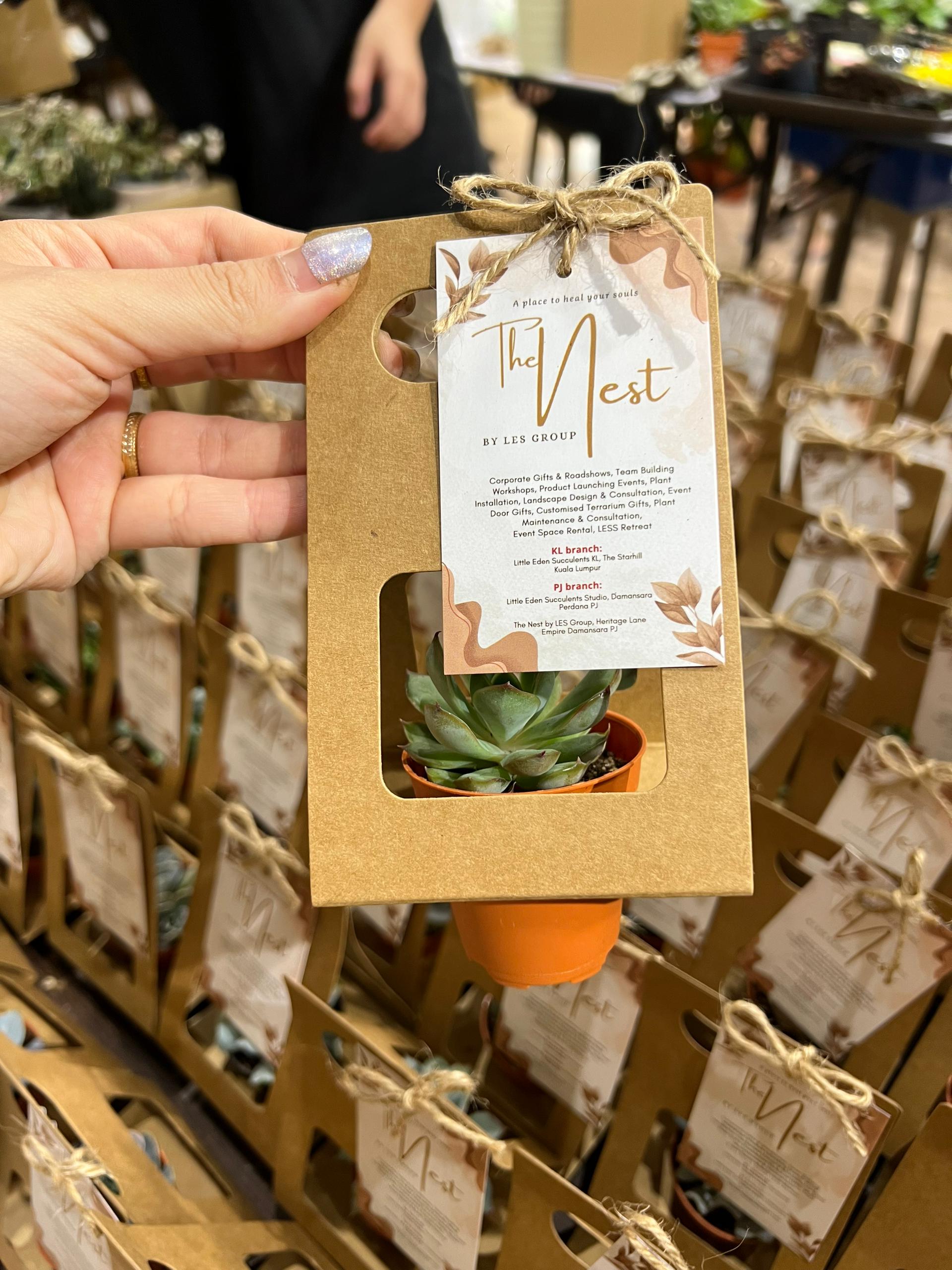 Personalized Succulent Door Gift with Handle and Event Logo - Plant Door Gift Ideas