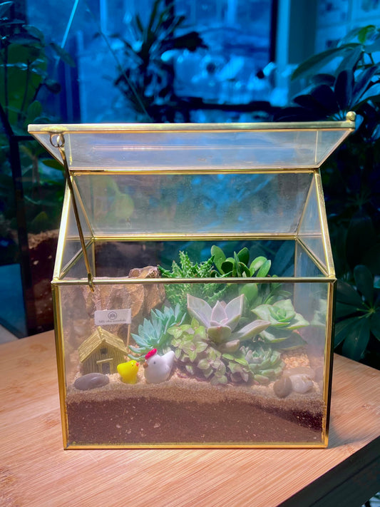 Succulent Arrangement in Golden Frame Glasshouse Terrarium (S)