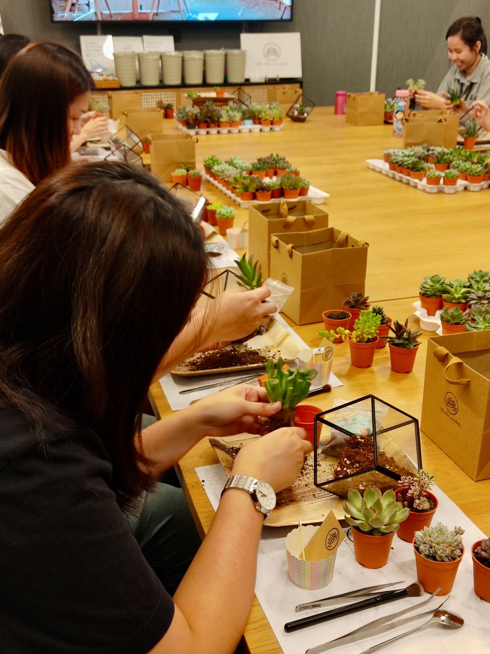 Corporate Team Building Activities- Terrarium Workshop