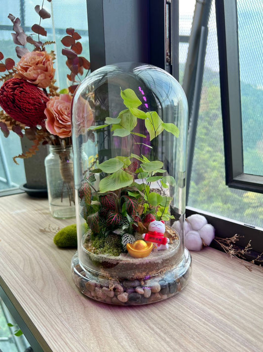 Fittonia, Moss and Fern Dome Terrarium