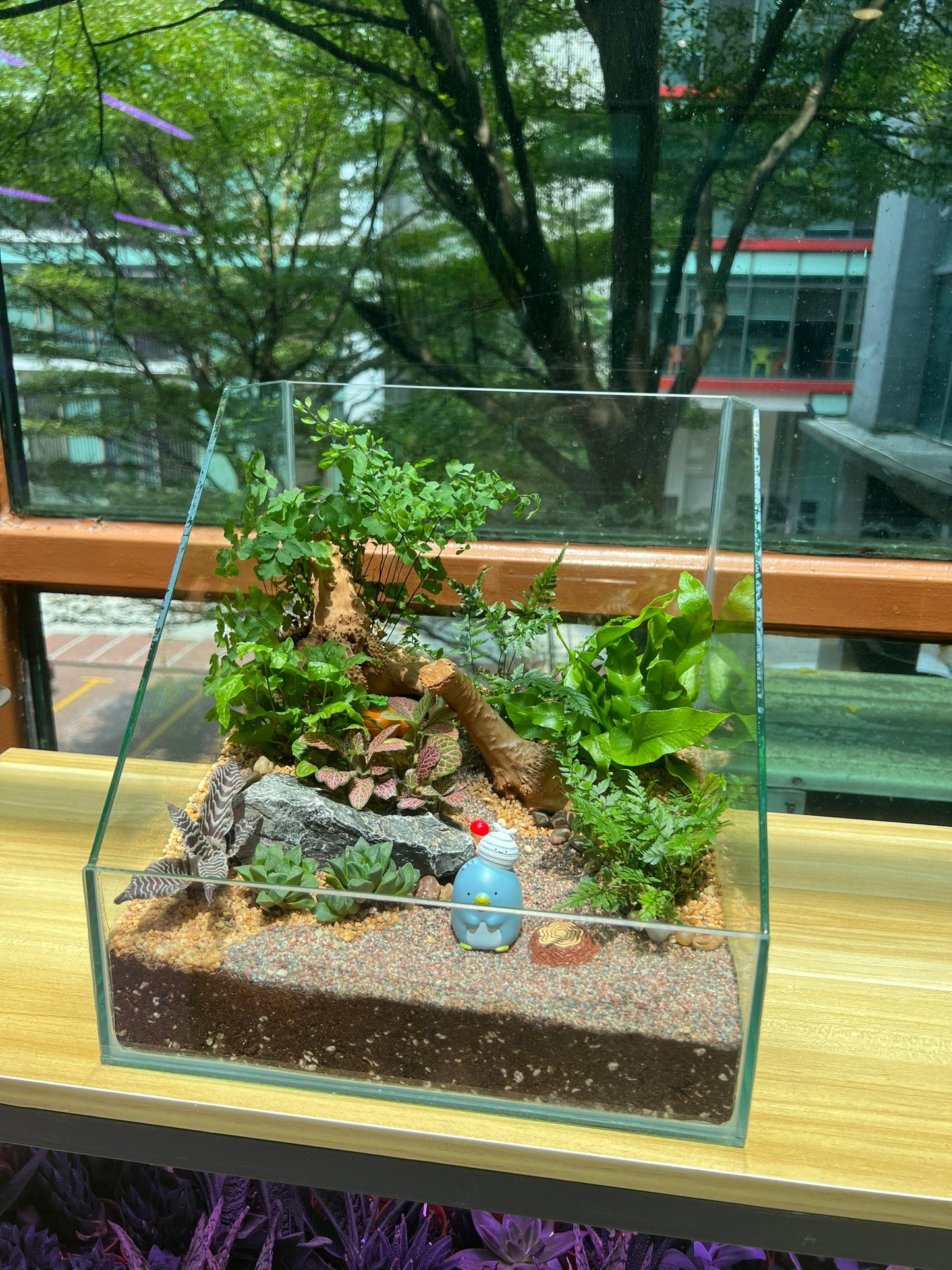 Serene Forestscape Terrarium