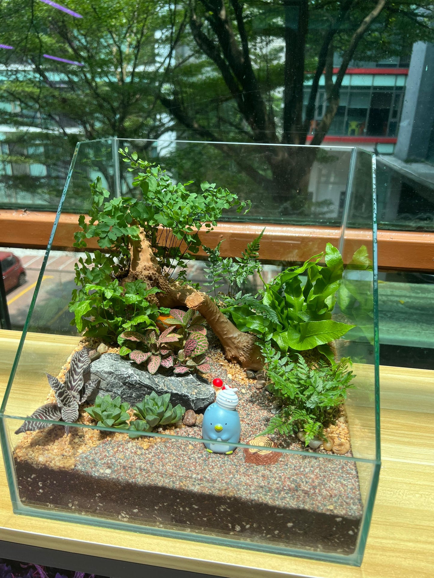 Serene Forestscape Terrarium