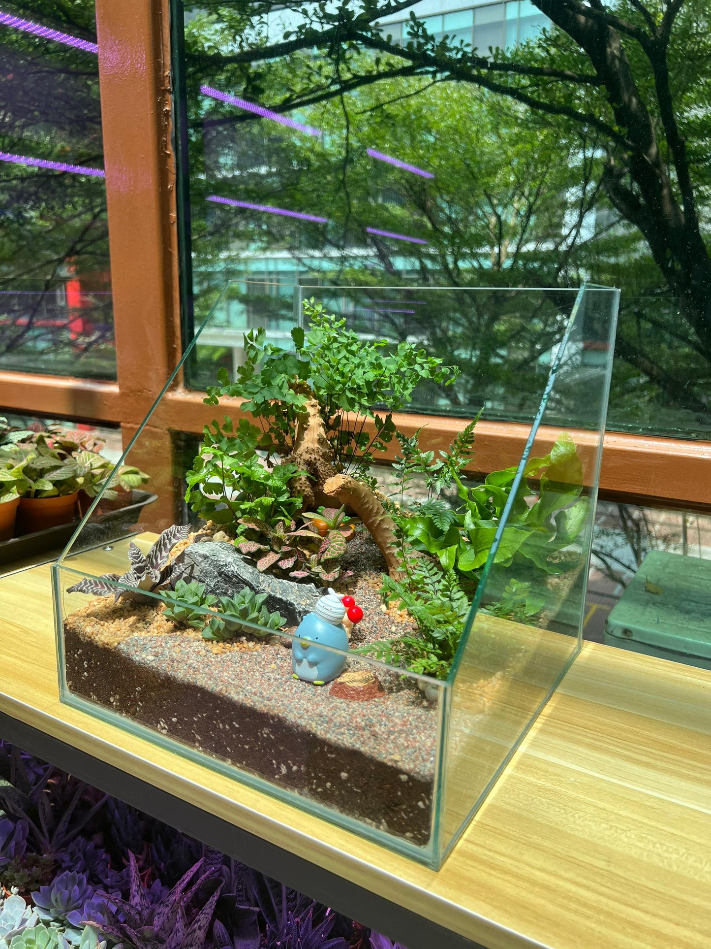 Serene Forestscape Terrarium