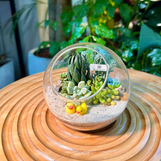 Round Glass Succulent Terrarium (L)