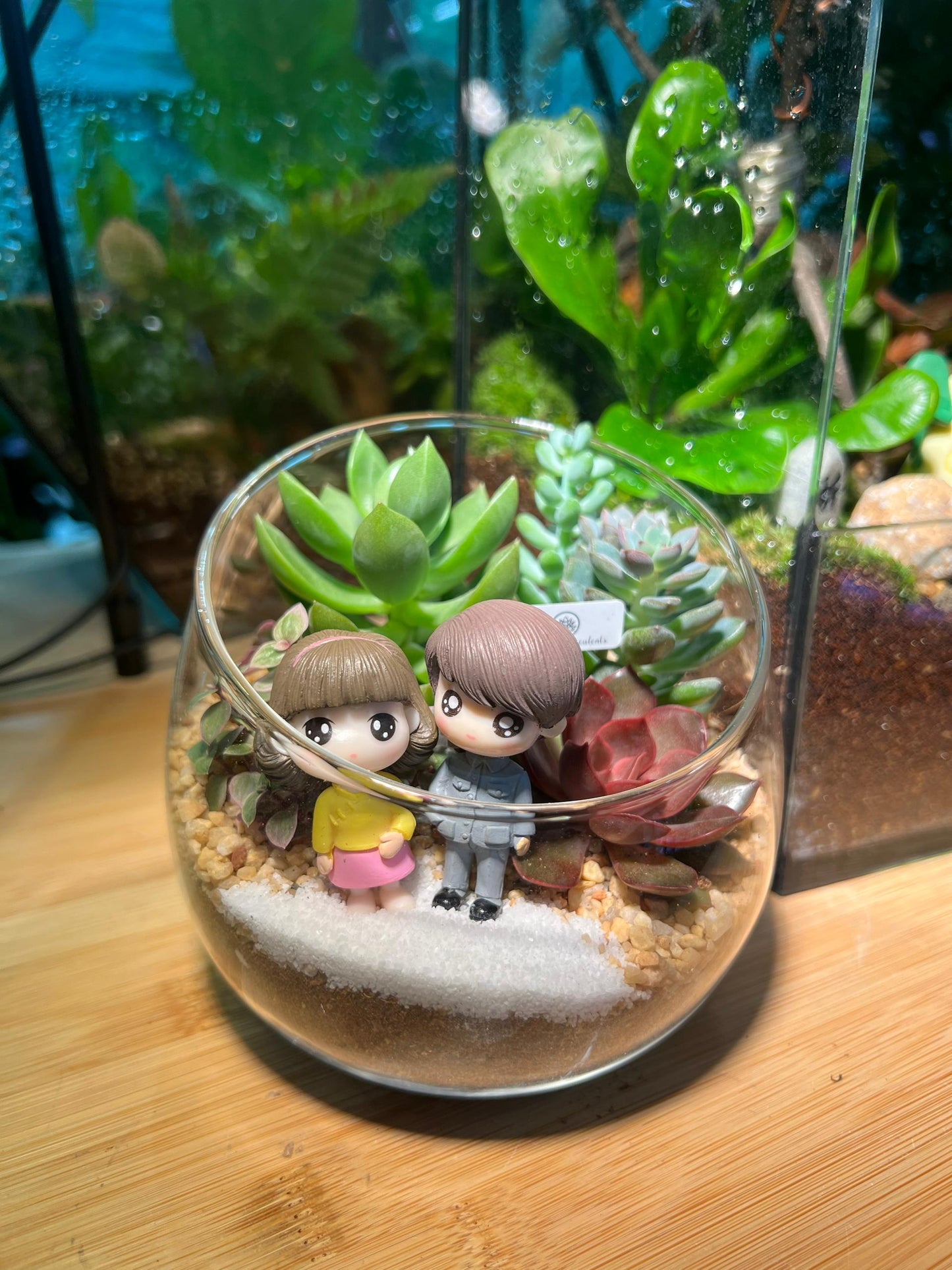 Couple Slanted Glass Indoor Terrarium