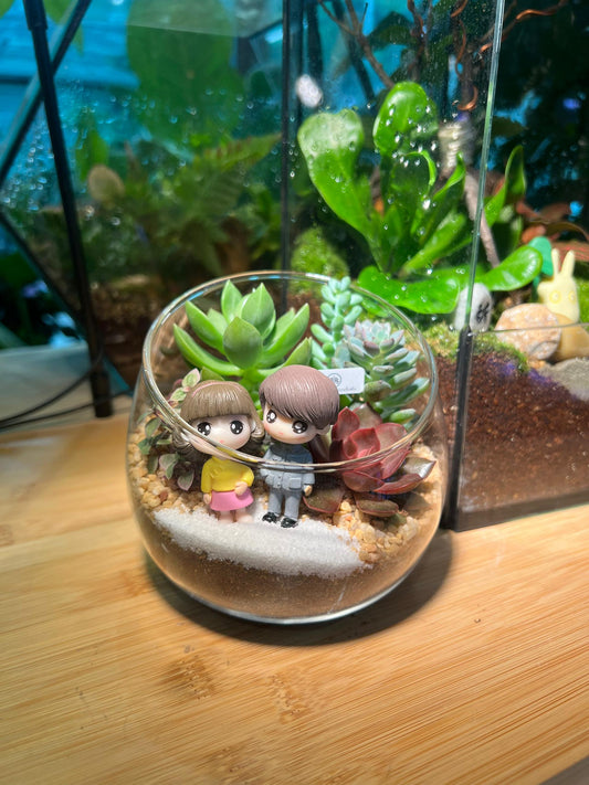 Valentine Gift : Succulent Arrangement in Slanted Glass Terrarium (L)
