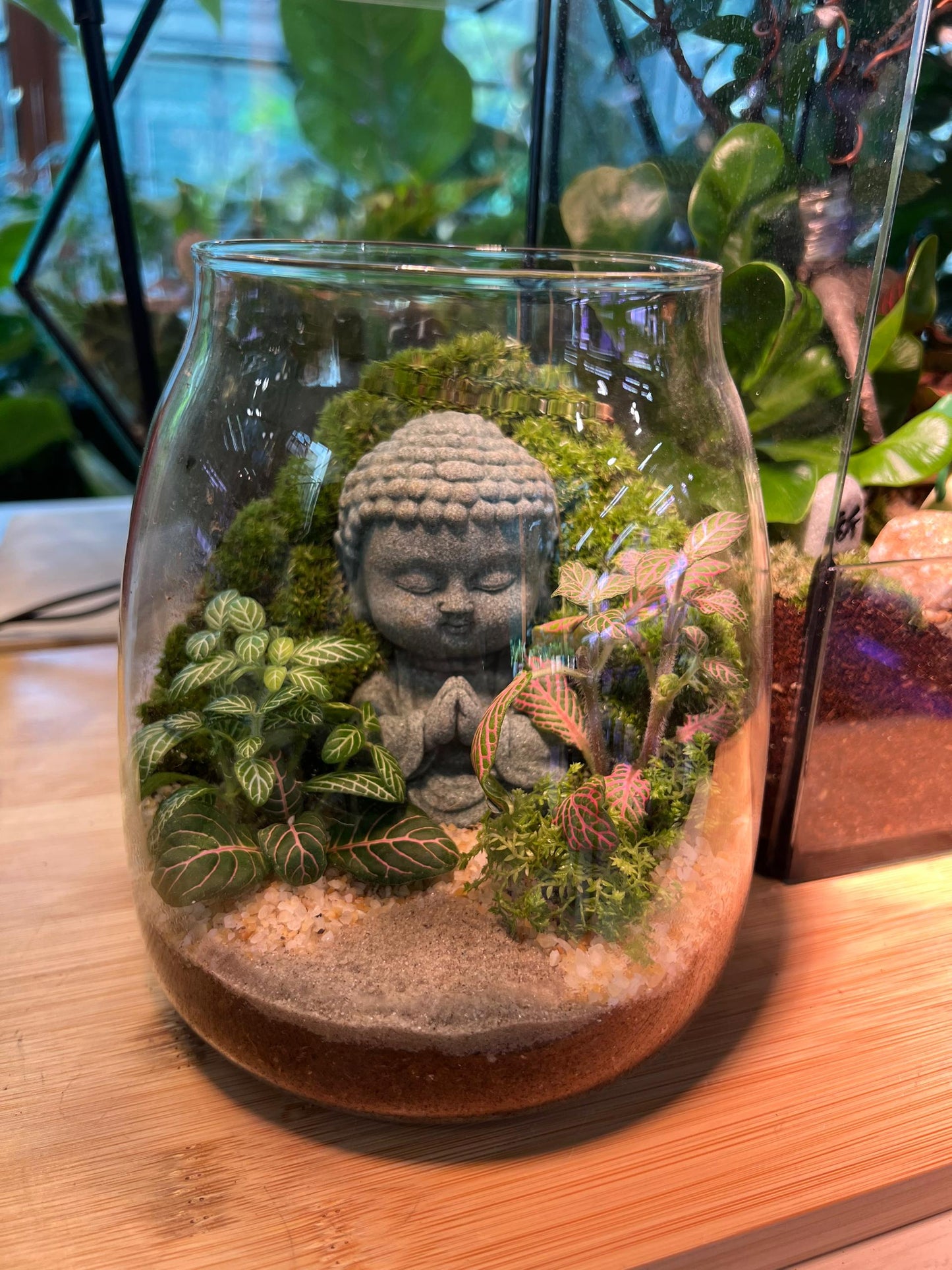 Zen Terrarium with Buddha Statue – Indoor Plants for Serenity & Decor