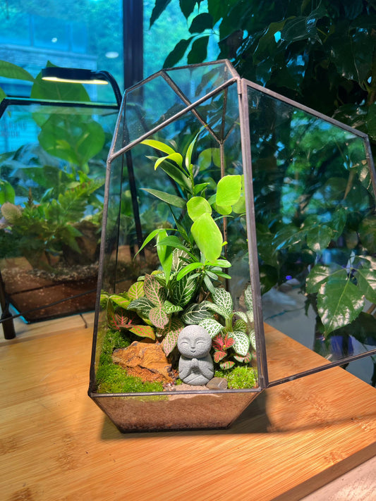 Fittonia and Podocarpus with Moss Arrangement & Buddha Statue in Black Polygonal Slim Glass with Lid (M)