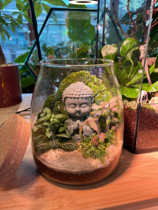 Zen Terrarium with Buddha Statue – Indoor Plants for Serenity & Decor