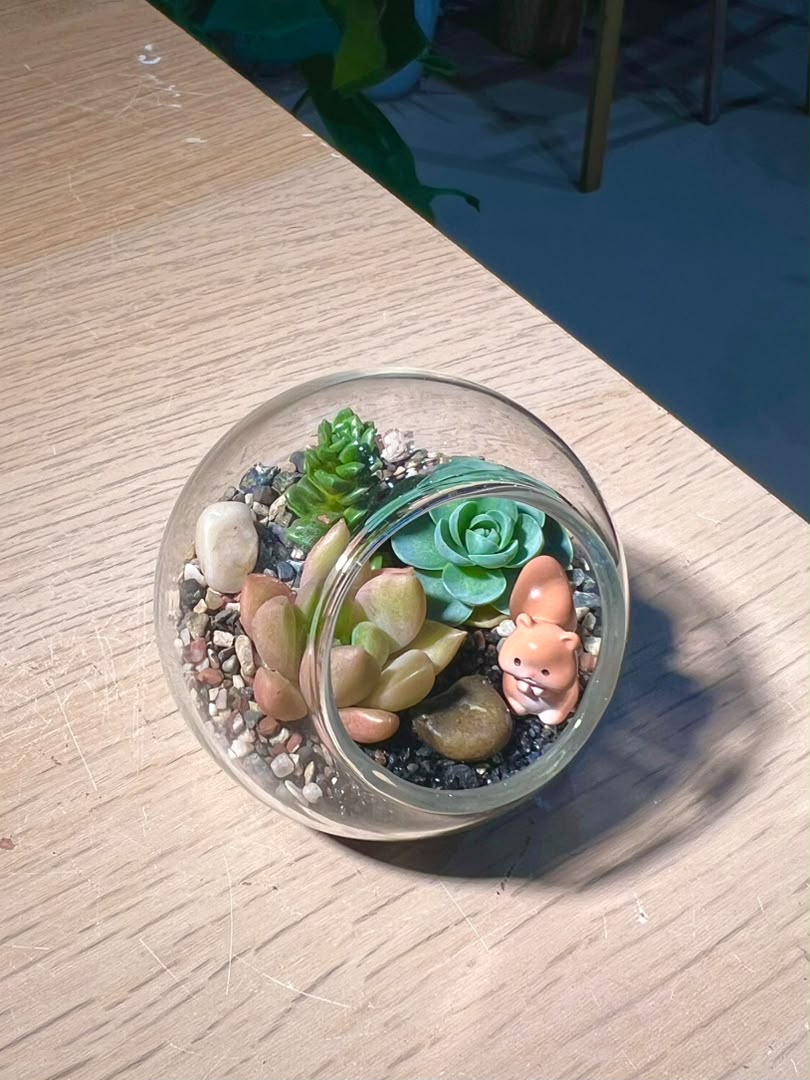 Succulent Arrangement in Round Glass (XS)