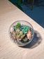 Succulent Arrangement in Round Glass (XS)