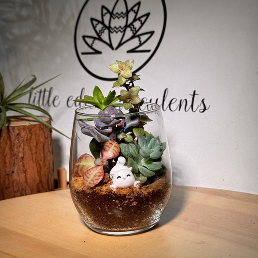 Succulents in Tall Glass Terrarium