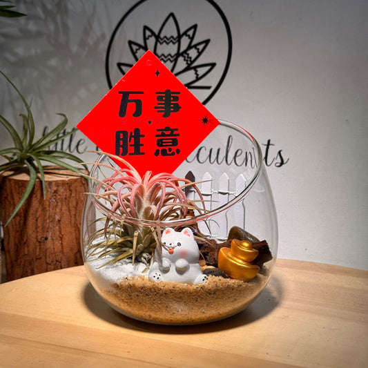 CNY Exclusive: Prosperity Airplant in Slanted Glass Terrarium (M)