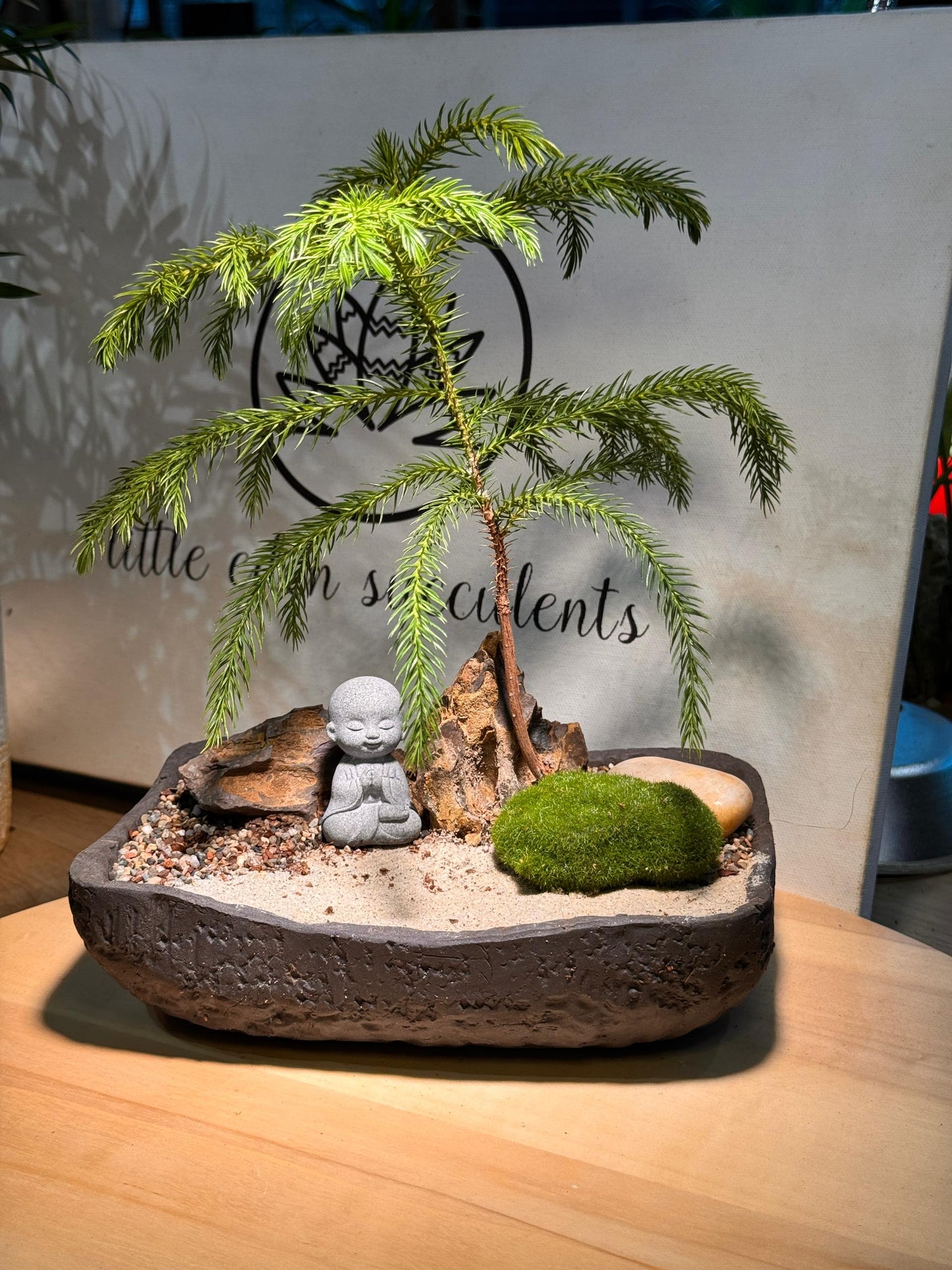 Monk Zen Bonsai Arrangement