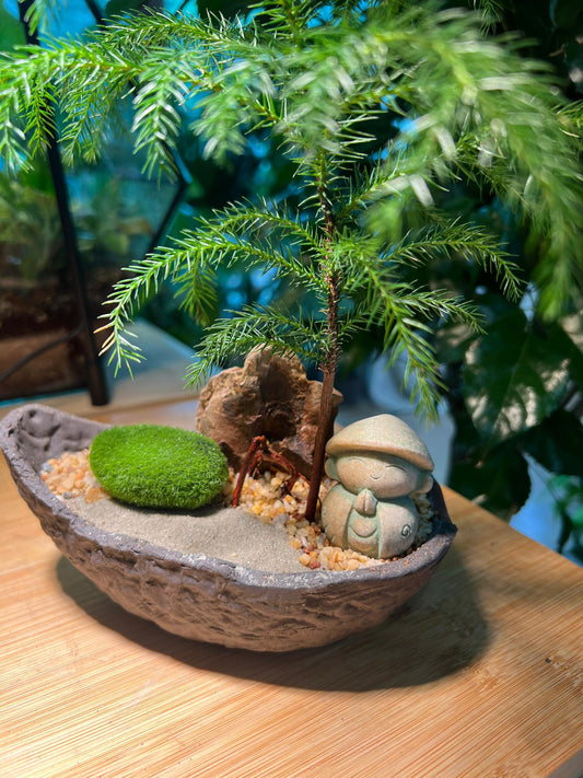 Monk Zen Bonsai Arrangement