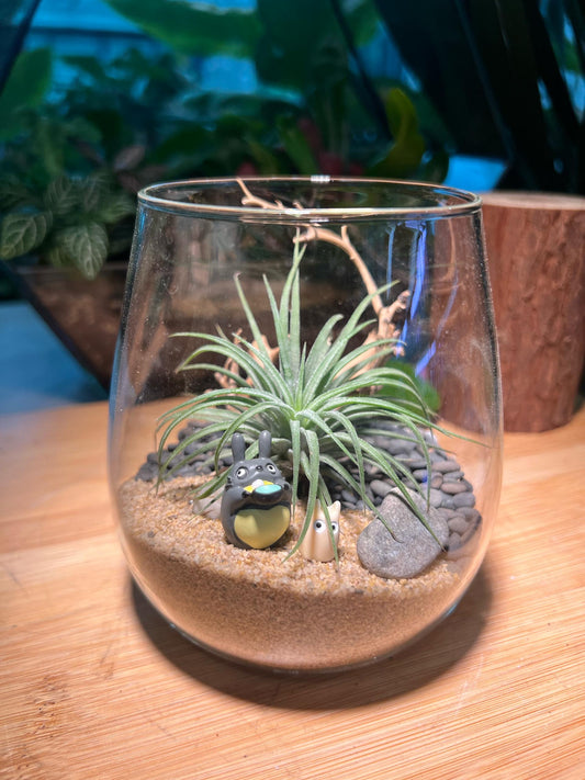Airplant Terrarium with Totoro Figurine