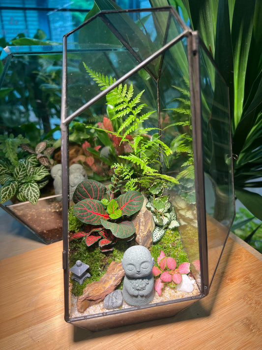 Fittonia and Fern with Moss Arrangement in Black Frame Polygonal Slim Glass with Lid (Zen Monk)