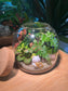 Fern and Fittonia Terrarium with Maneki-Neko