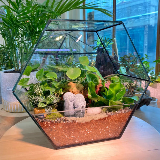 Hexagon Designer Glass Terrarium