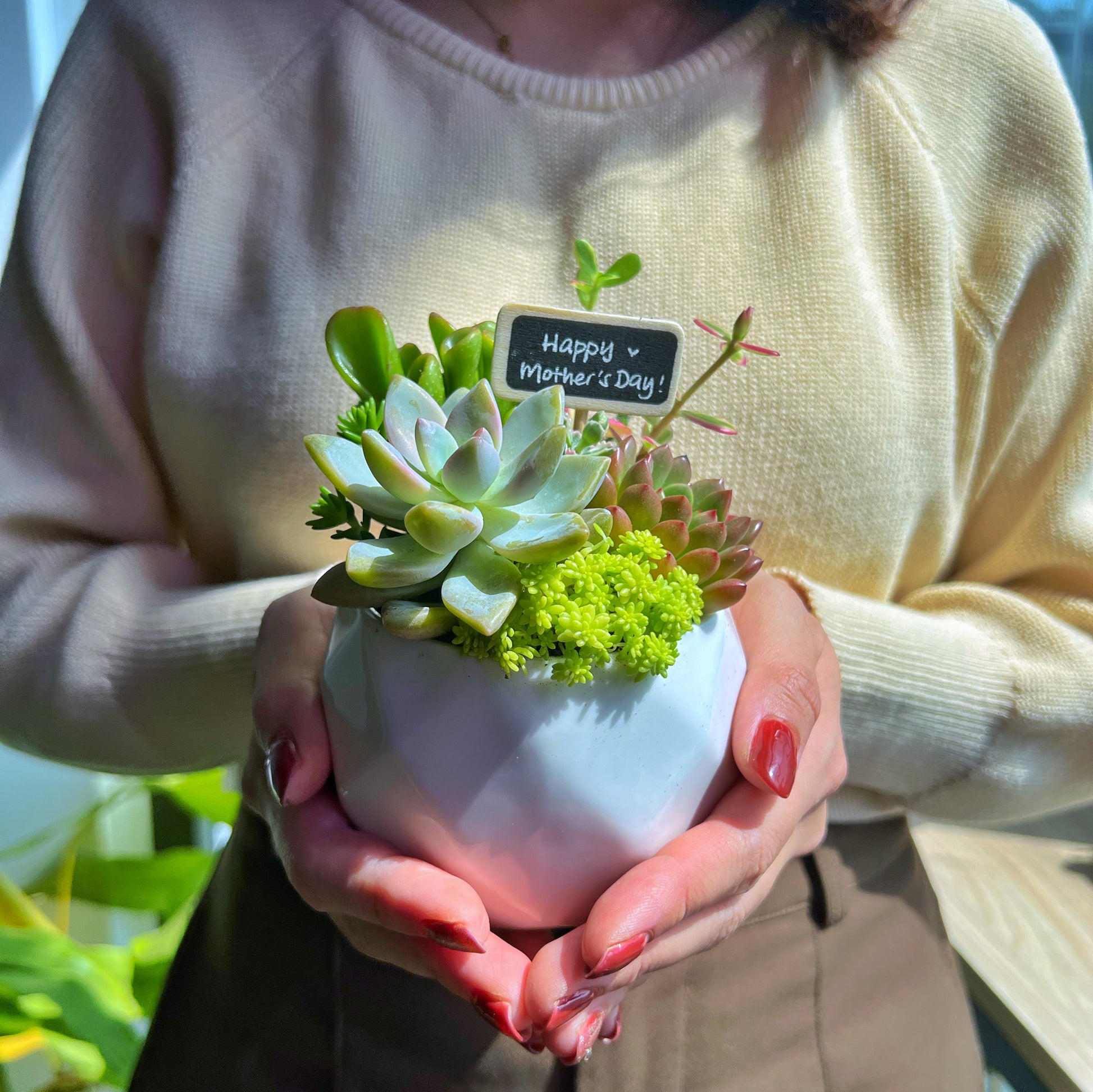 succulent mother's day Mother's Day Special