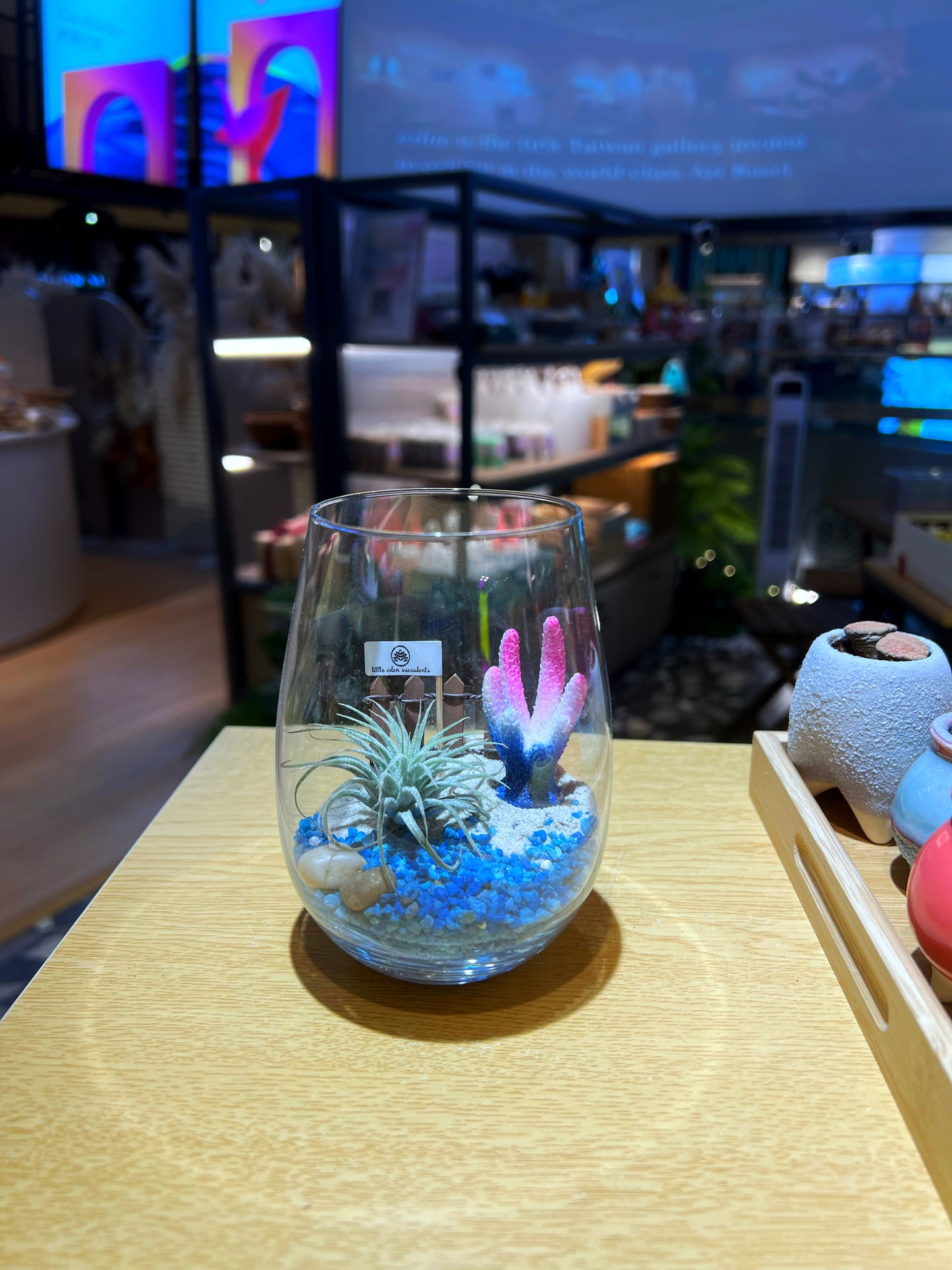 Air Plant with Coral Reef in Tall Glass (L)