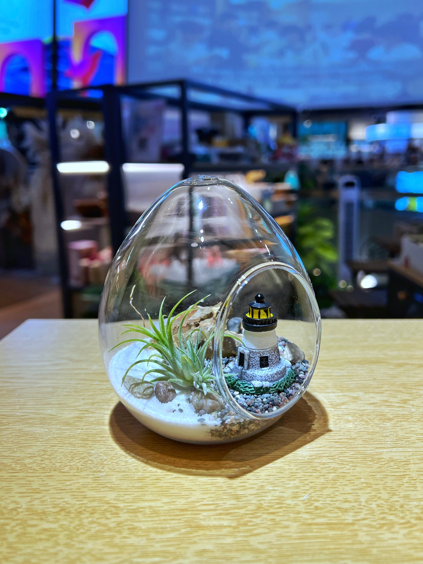 Airplant with Lighthouse in Eggette Glass (S)