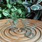 Steel Wire Airplant Stand (3 in a set)