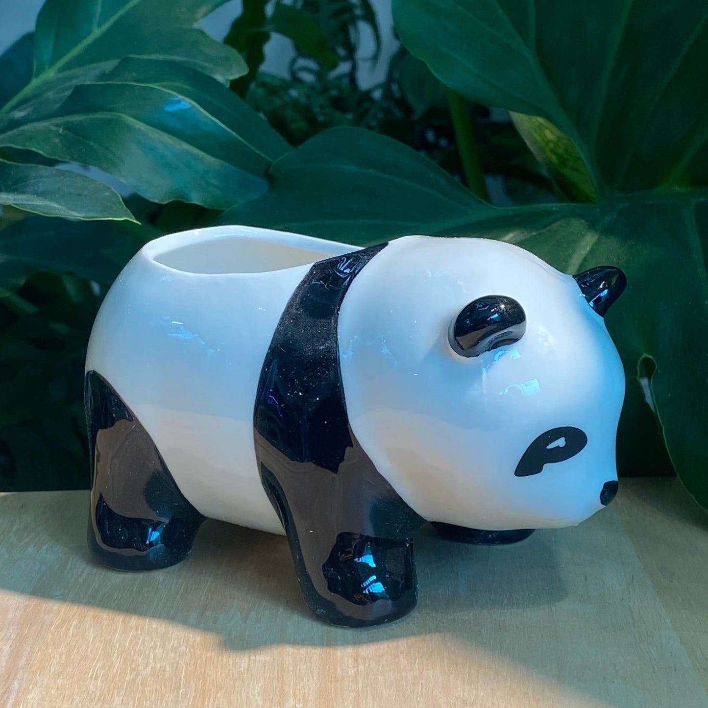 Designer Panda Pot