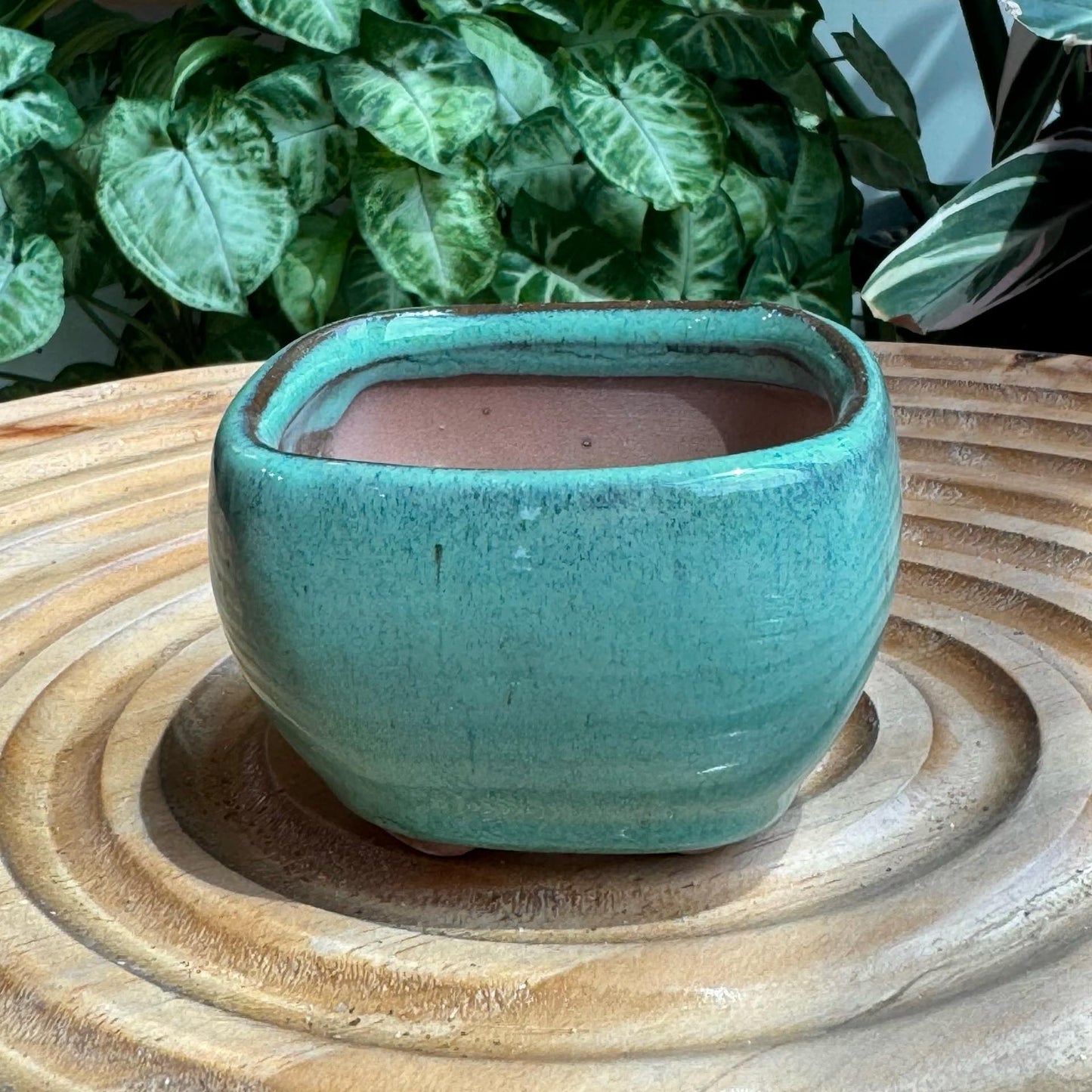 Square Vintage Ceramic Pot