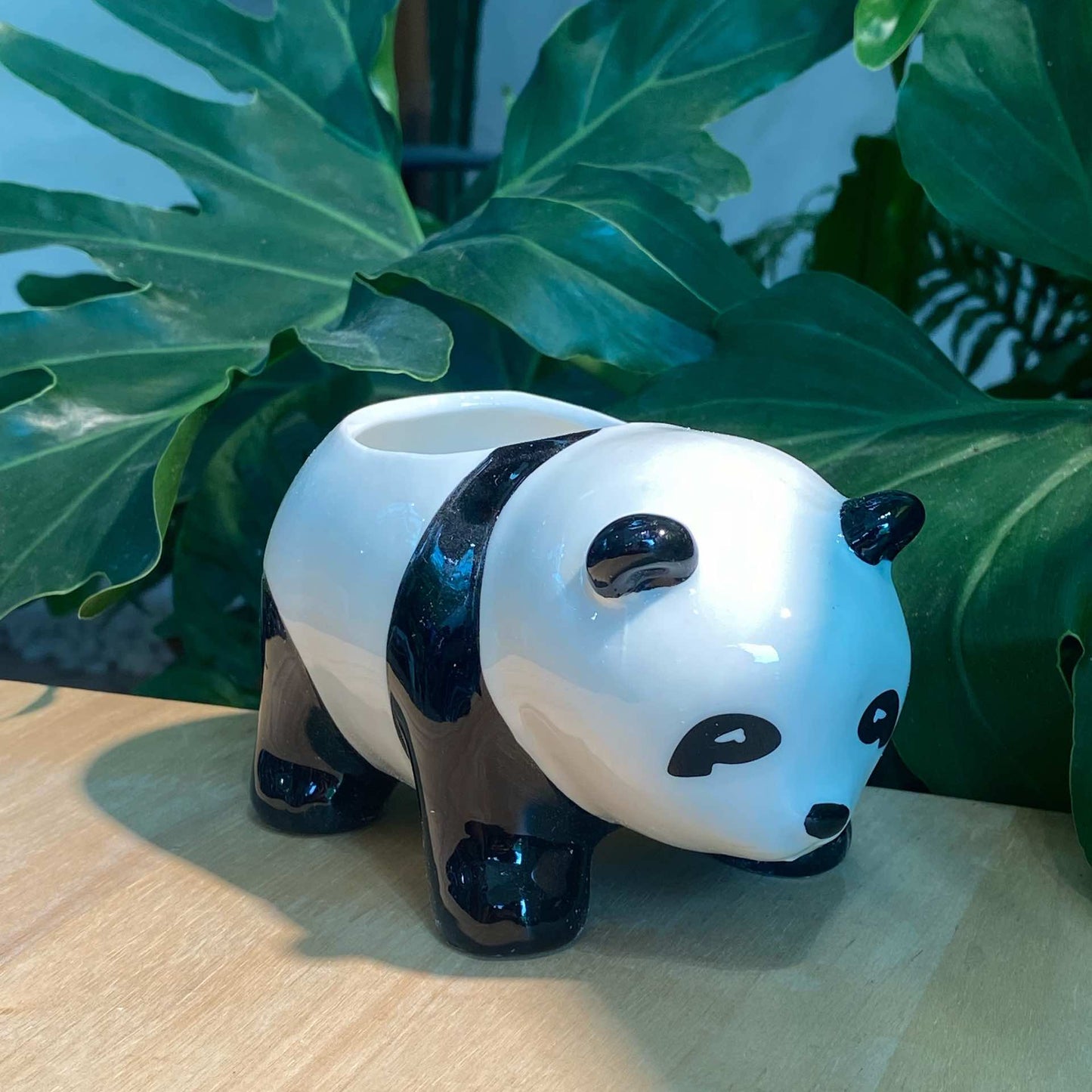 Designer Panda Pot