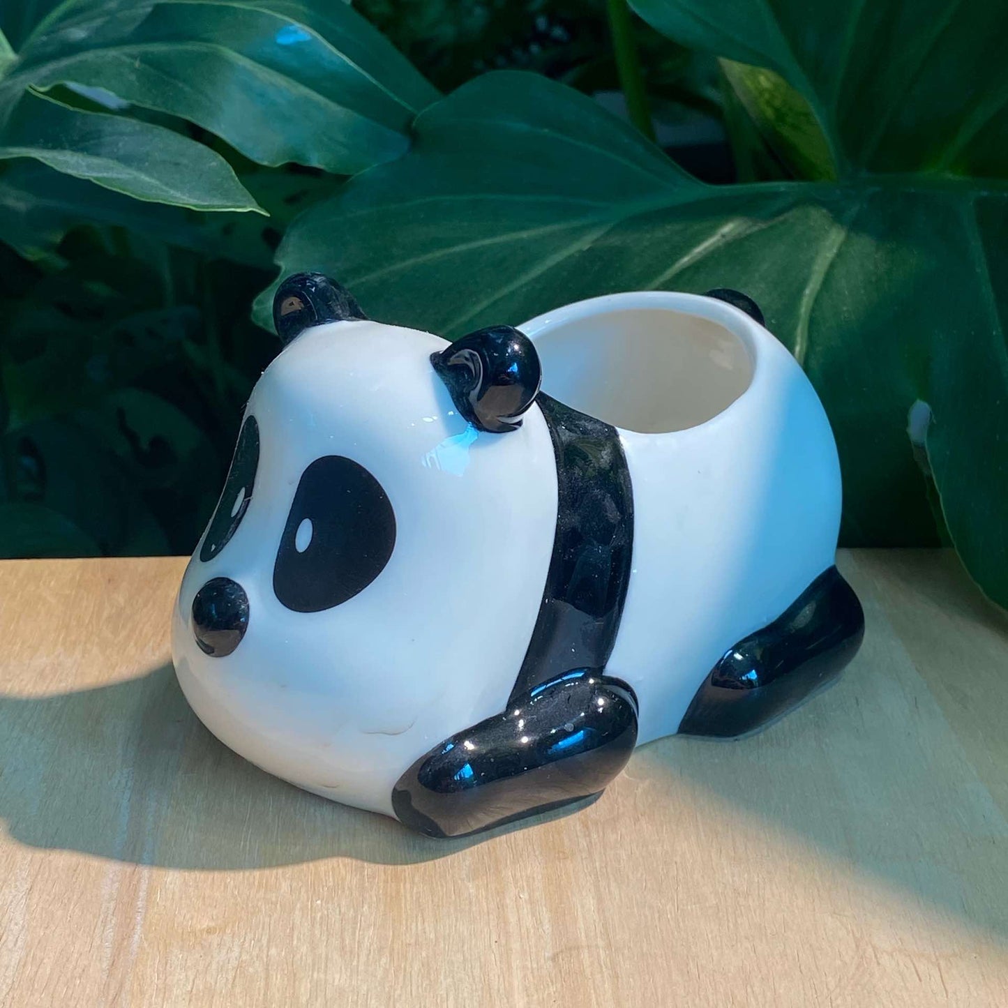 Designer Panda Pot 2