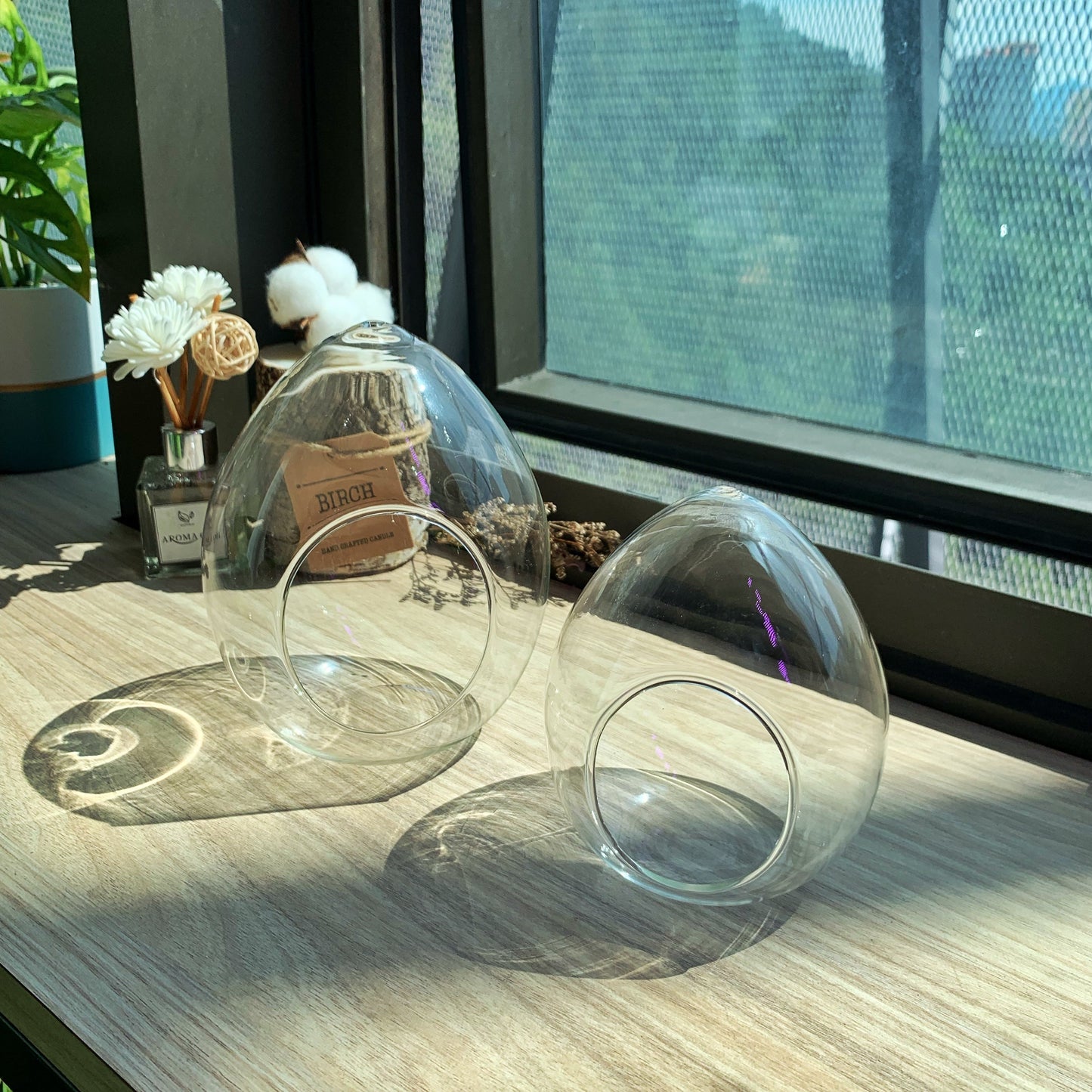 Egg Shaped Terrarium Glass