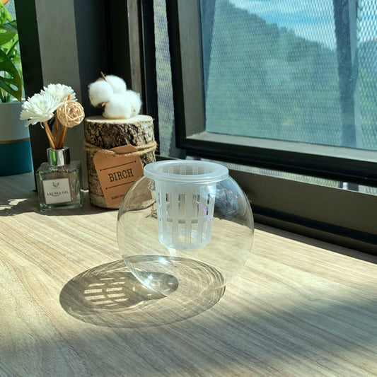 Fishbowl Glass Planter with Hydroponic Net