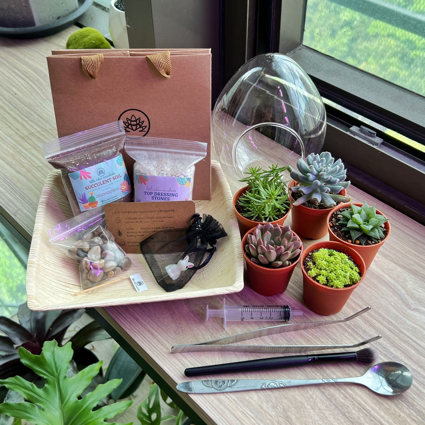 Eggette Glass Succulent Terrarium (M) DIY Set