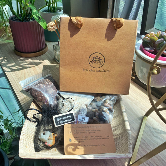 Ferris Wheel DIY Kit