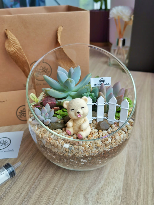Slanted Glass Succulent Terrarium (L)