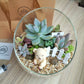 Slanted Glass Succulent Terrarium (L)